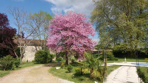 Bed & Breakfast Domaine Du Papillon