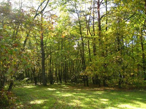 Bed & Breakfast Chambres D'h�tes Et Table D'h�tes L'intemporelle