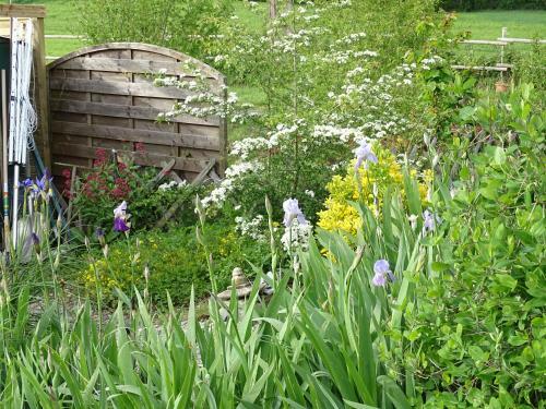 Hostal Les Chalets D'h�tes Esprit Nature