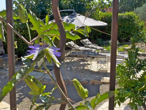 Bed & Breakfast Domaine De L'arnaude