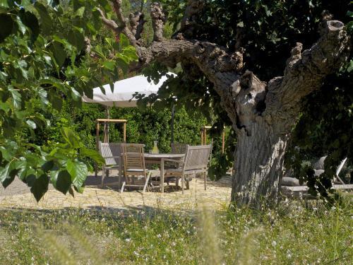 Bed & Breakfast Domaine De L'arnaude