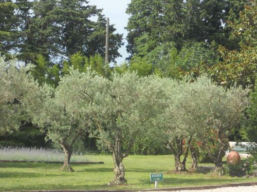 Bed & Breakfast Chambres D'h�tes Le Mas Du Platane