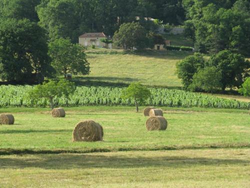 Bed & Breakfast La Theroniere
