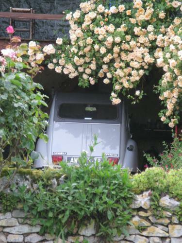 Bed & Breakfast La Theroniere