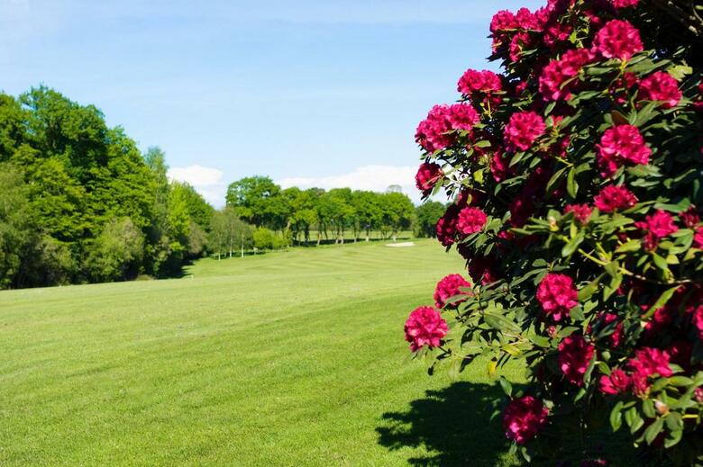 Hotel St Malo Golf Resort