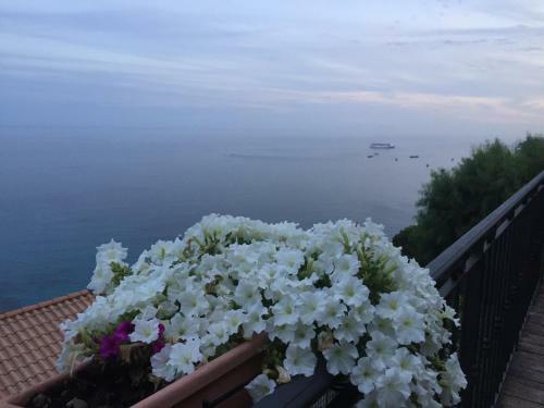 Bed & Breakfast Chambre D'h�tes La Belle Vue