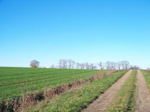 Bed & Breakfast La Genoise