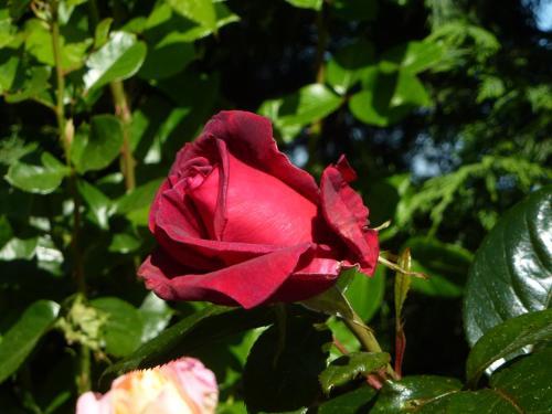Hostal Chambres D'h�tes Les Terrasses De Fleurieux