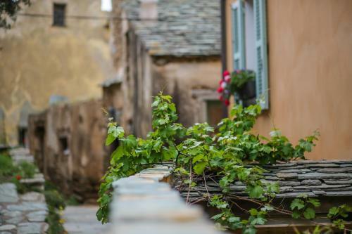 Bed & Breakfast Latu Corsu - Cote Corse Chambres D'h�tes