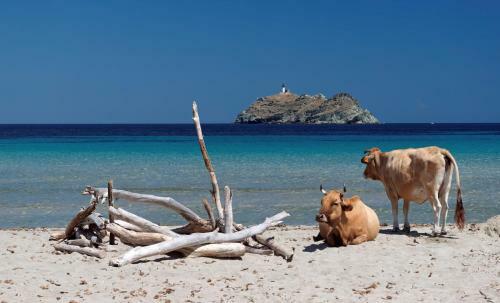 Bed & Breakfast Latu Corsu - Cote Corse Chambres D'h�tes