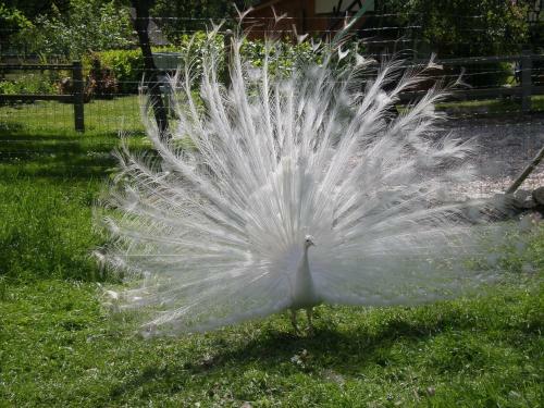 Bed & Breakfast Chambre D'h�tes Au Fil De L'eau