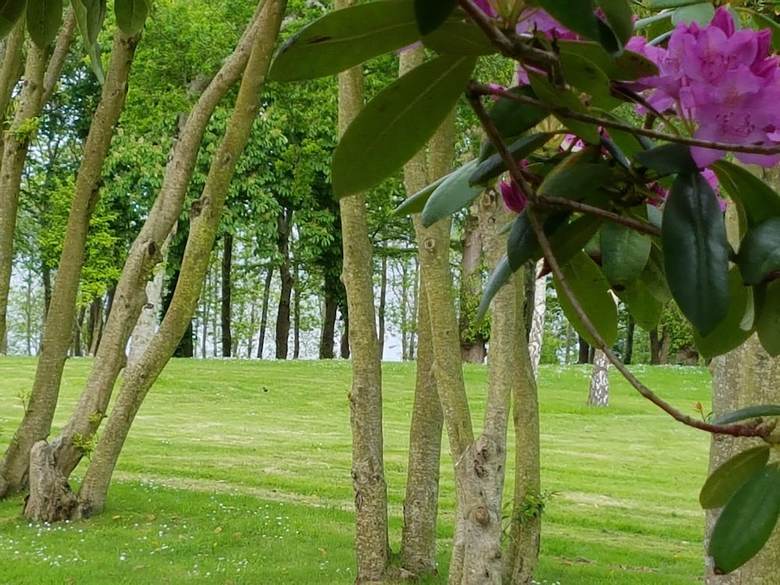 Hotel Manoir De Kergrec'h