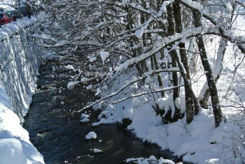 Hotel H�tel Le Vermont