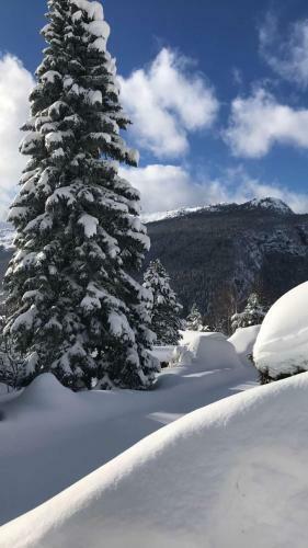 Hotel H�tel Le Vermont