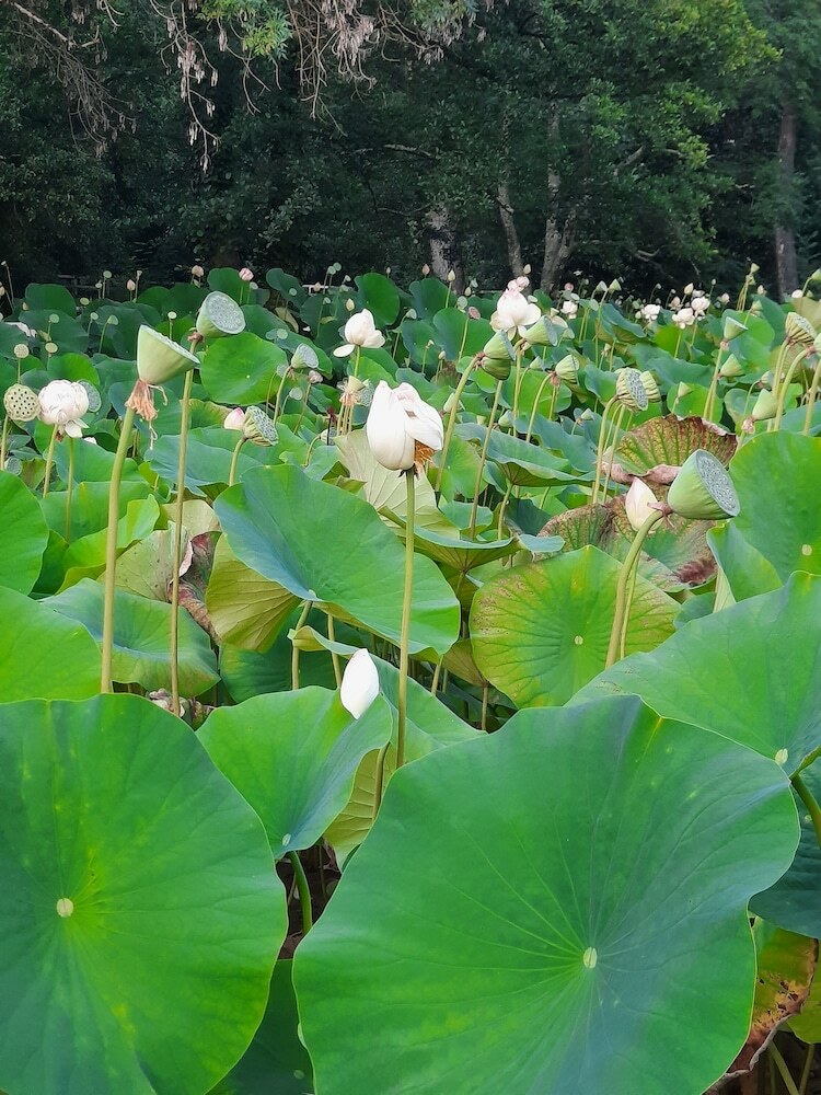 Hotel Hostellerie De La Roseraie