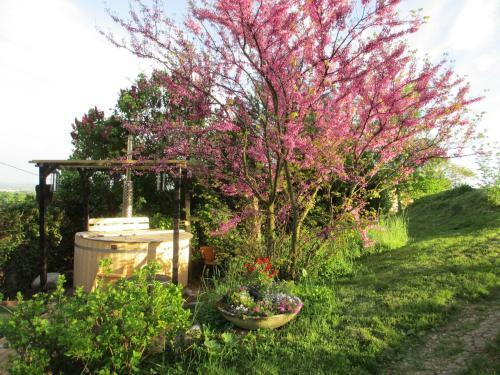 G�te Le Ch�ne Du Py