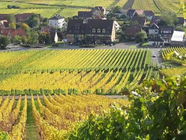 Hotel H�tel Le Riquewihr