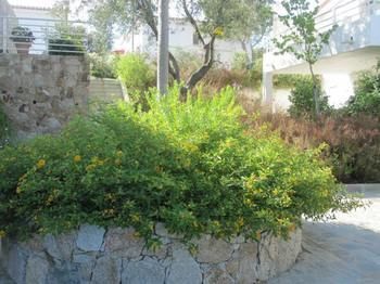 Apartamentos R�sidence Le Clos Saint Paul