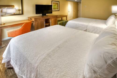Hotel Hampton Inn And Suites Asheville-i-26