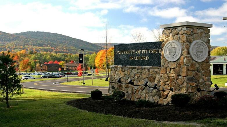 Hotel Holiday Inn Express And Suites - Bradford