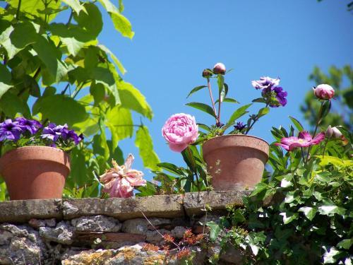Bed & Breakfast Chambre D'h�tes Les 3 Cochons D'olt