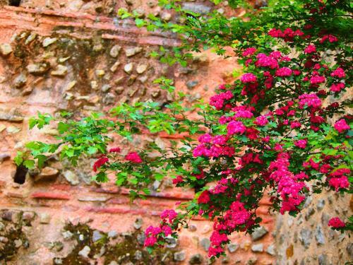 Hostal Logis De La Contrescarpe