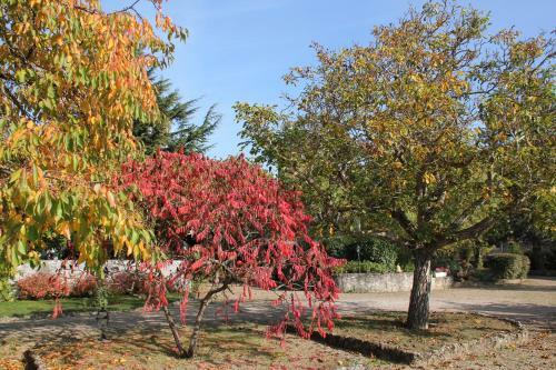 Bed & Breakfast Le Relais De La Tour