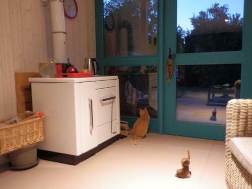 Bed & Breakfast Chambres D'h�tes Au Domaine Des Maynardes