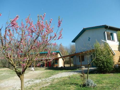 Bed & Breakfast Chambres D'h�tes Au Domaine Des Maynardes