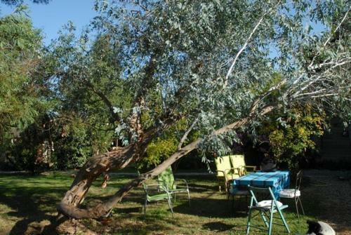 Bed & Breakfast Chambres D'h�tes Au Domaine Des Maynardes