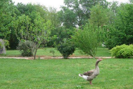 Bed & Breakfast Chambres D'h�tes Au Domaine Des Maynardes