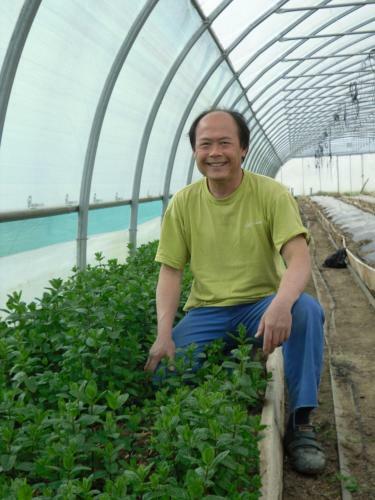 Bed & Breakfast Chambres D'h�tes Au Domaine Des Maynardes