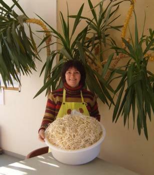 Bed & Breakfast Chambres D'h�tes Au Domaine Des Maynardes