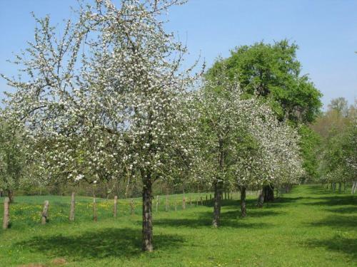 Hotel Logis H�tel De France