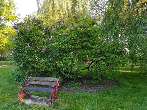 Hotel Logis H�tel De France