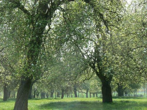 Hotel Logis H�tel De France