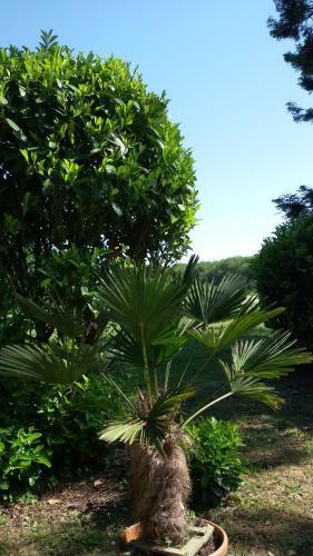 Bed & Breakfast Manoir Des Turets