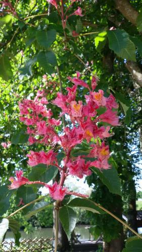 Bed & Breakfast Manoir Des Turets