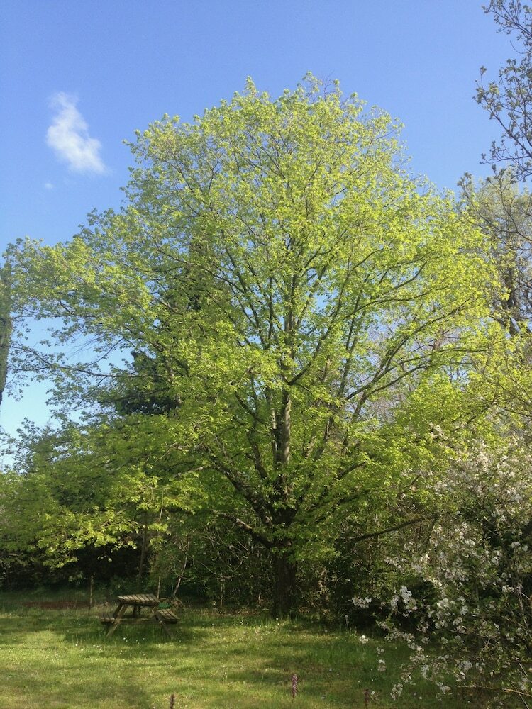 Bed & Breakfast Chambres D'h�tes Carpe Diem