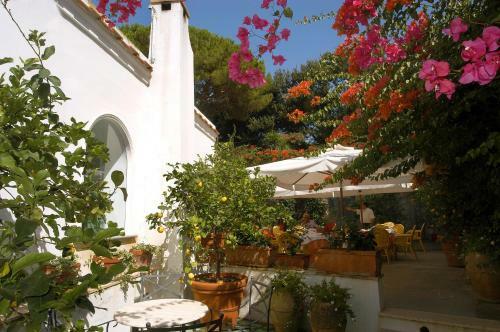 Hotel Canasta