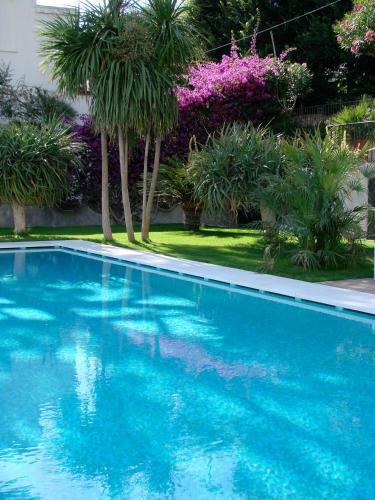 Hotel Canasta
