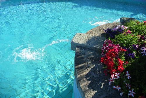 Hotel Paradiso Terme