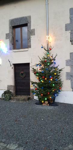 Agroturismo Meadow View Gite