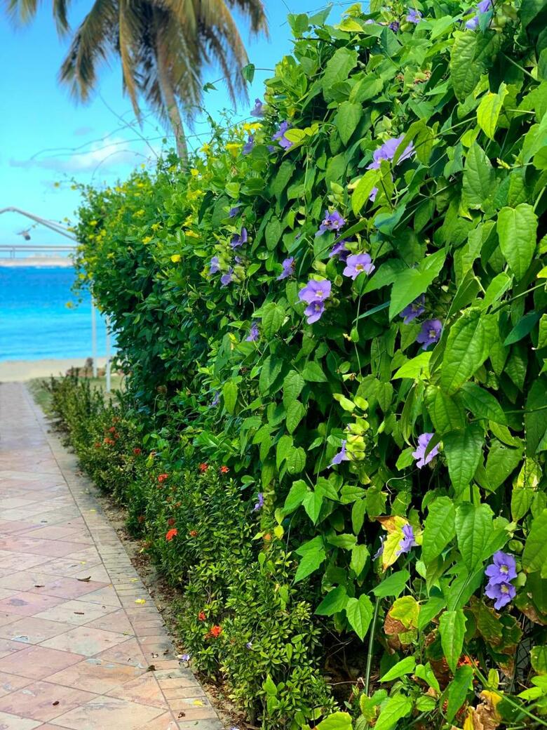 Hotel Best Western Plus Emerald Beach Resort