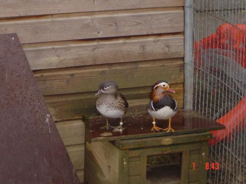 Bed & Breakfast Aux Plumes De Grigy