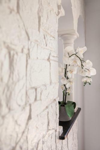 Bed & Breakfast La Demeure Insoup�onn�e