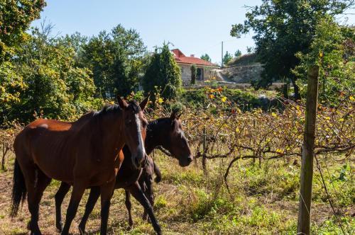 Agroturismo Casa Nos Penedos