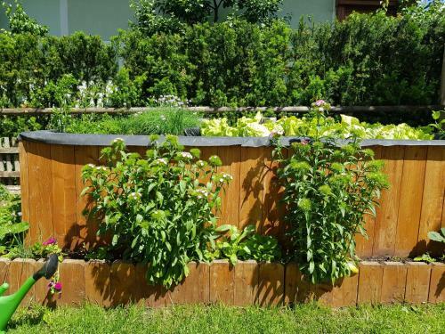 Apartamento Appartement K�nigslehen