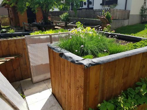 Apartamento Appartement K�nigslehen