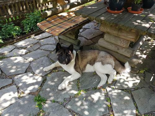 Apartamento Appartement K�nigslehen